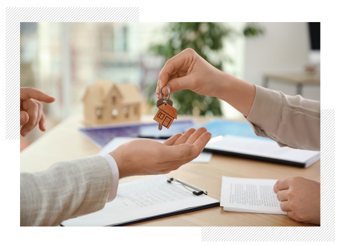 Local property solutions in St.Albans, Hatfield and Welwyn Garden City
